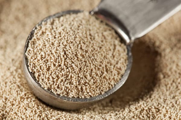 تصویر 1 از قیمت خمیر مایه پودری + خرید باور نکردنی